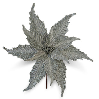 SILVER LUX EDGE POINSETTIA