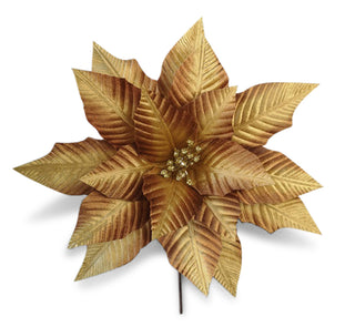 GOLD SHADOW POINSETTIA