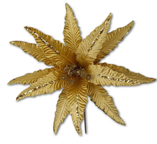GOLD SLIM PETAL POINSETTIA