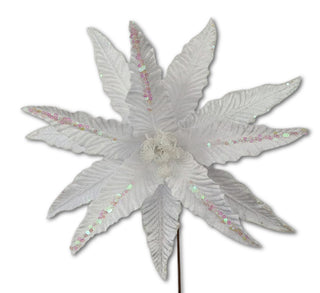 WHITE SLIM PETAL POINSETTIA