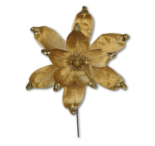 GOLD MAGNOLIA