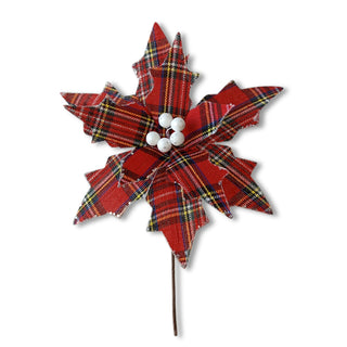 RED TARTAN POINSETTIA