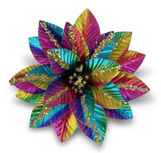 RAINBOW POINSETTIA