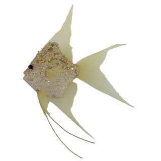 FISH CHAMPAGNE 14CM
