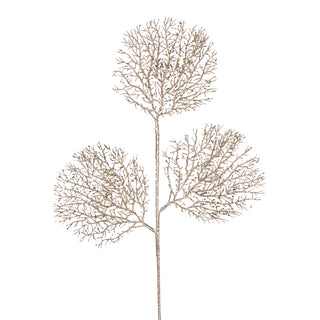 CHAMPAGNE SEA FAN SPARY