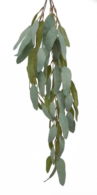 GUM NUT HANGING BUSH - 72CM