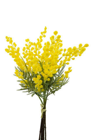 WATTLE BOUQUET - 42CM