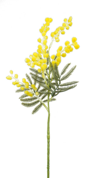 WATTLE PICK - 58CM