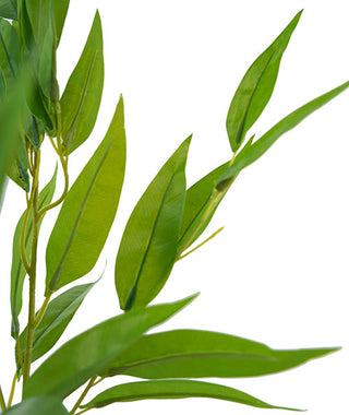 GUMNUT BUSH - 50CM