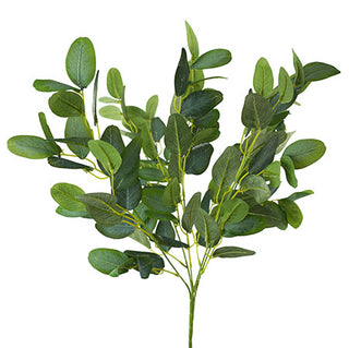 GUM BUSH - 55CM