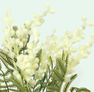 MIMOSA BUSH - 34CM
