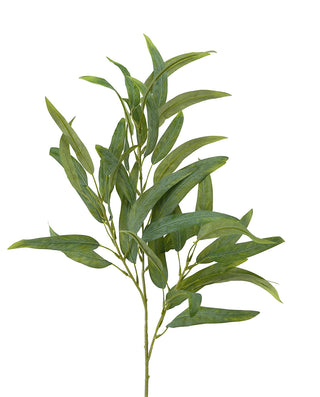 GUMNUT LEAF SPRAY - 70CM