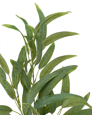 GUMNUT LEAF SPRAY - 70CM