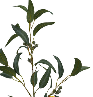 GUMNUT SPRAY - 99CM