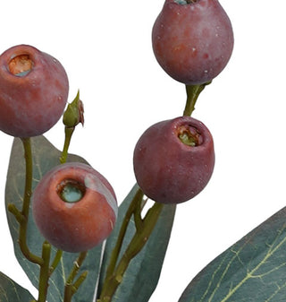 RED GUMNUT SPRAY - 48CM