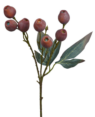 RED GUMNUT SPRAY - 48CM