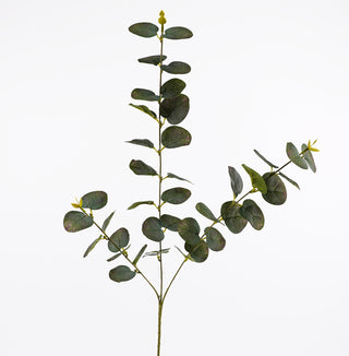 EUCALYPTUS SPRAY - 88CM