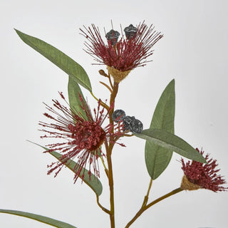 FLOWERING GUM RED