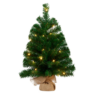 WINTERGREEN TREE WITH MULTI COLOURED LIGHTS 61CM