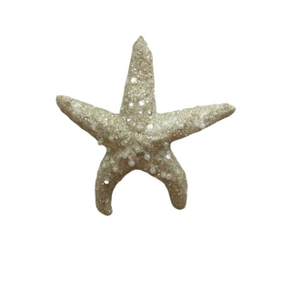 STARFISH 11CM - 3 VARIANTS