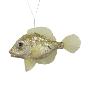 FISH CHAMPAGNE 14CM