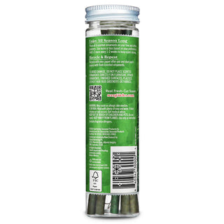 SCENTSICLES SCENTED ORNAMENT STICKS, WHITE WINTER FIR - 6CT BOTTLE