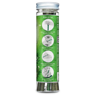 SCENTSICLES SCENTED ORNAMENT STICKS, WHITE WINTER FIR - 6CT BOTTLE
