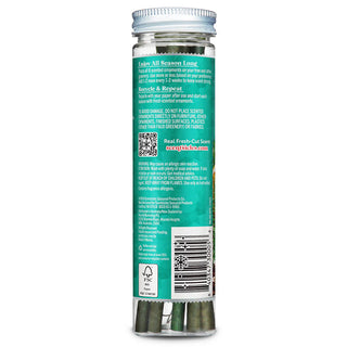 SCENTSICLES SCENTED ORNAMENT STICKS, CHRISTMAS TREES - 6CT BOTTLE