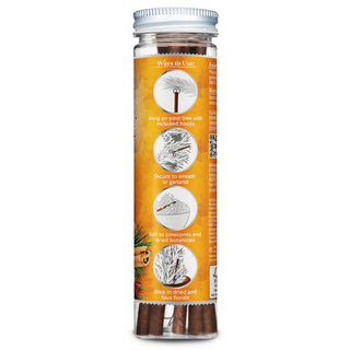 SCENTSICLES SCENTED ORNAMENT STICKS, SPICED PINE CONE - 6CT BOTTLE