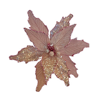 PINK POINSETTIA