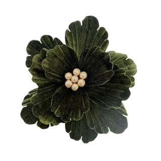 GREEN POINSETTIA