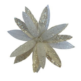 WHITE POINSETTIA