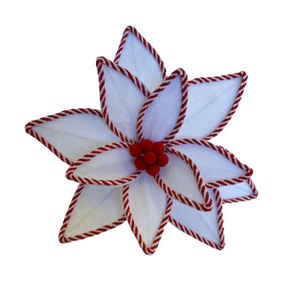 WHITE RED POINSETTIA