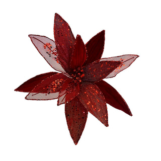 RED POINSETTIA