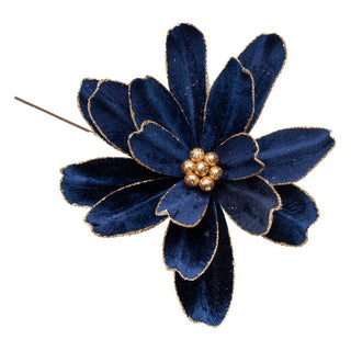 MIDNIGHT BLUE GOLD EDGE FLOWER