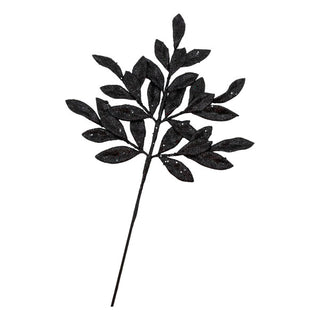 BLACK LEAF SPRAY