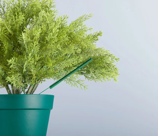 SCENTSICLES SCENTER GREEN STAKES - 6 PIECES
