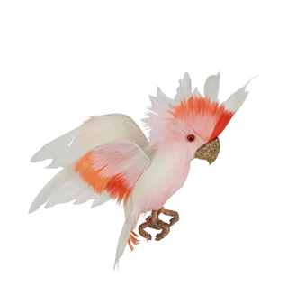 GALAH FLYING PING & WHITE