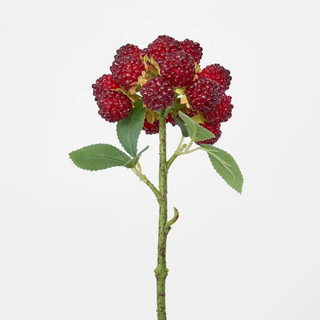 SUGARED RASPBERRY SPRAY