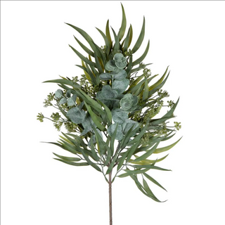 HEATON EUCALYPTUS STEM