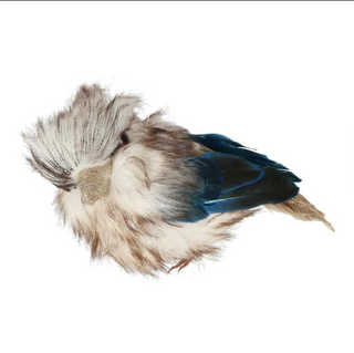 KOOKABURRA