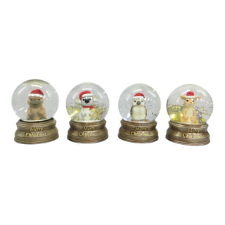 AUSTRALIAN ANIMALS SNOW GLOBE- 4 VARIANTS