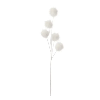 SNOWDROP SPRAY