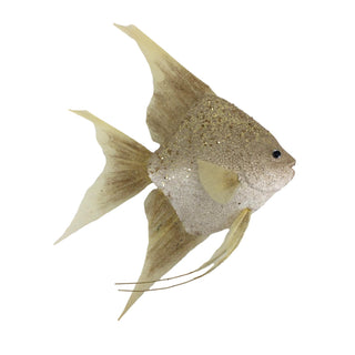 CHAMPAGNE FISH – 40CM