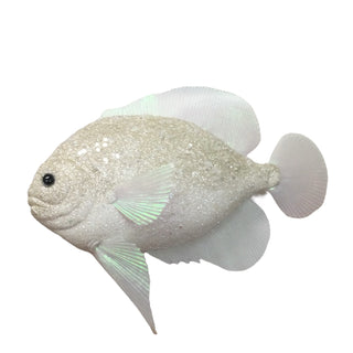 IVORY FISH – 30CM