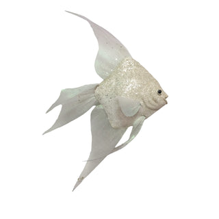 IVORY FISH – 40CM