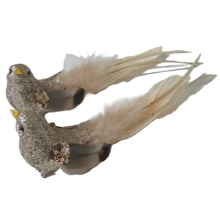 CHAMPAGNE CORAL BIRD CLIP ON