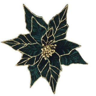 EMERALD GOLD POINSETTIA