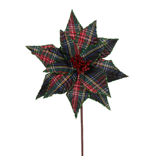 GREEN TARTAN POINSETTIA