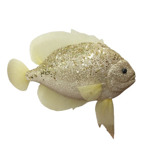 CHAMPAGNE FISH – 30CM